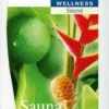 Spitzner Saunaaufguss Ingwer Limette Wellness 1000