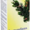 Spitzner Saunaaufguss Latschenkiefer Hydro 190 ml Konzentrat