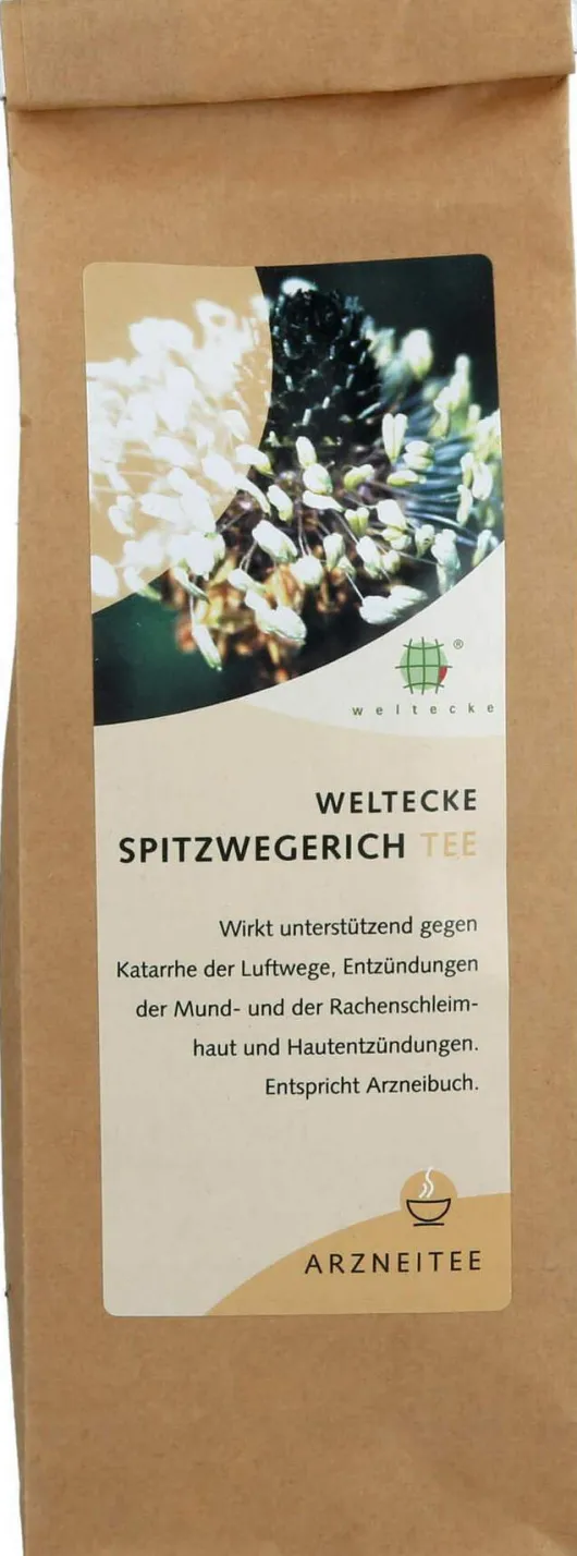 Spitzwegerichtee