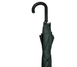 Sturm Regenschirm 65 cm grün