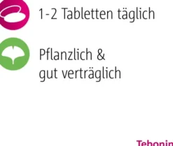 Tebonin intens 120 mg 200 Filmtabletten