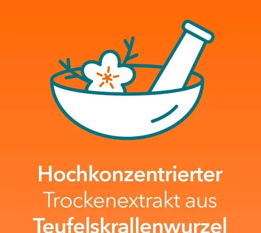 Teufelskralle-ratiopharm 480 mg - 100 Filmtabletten