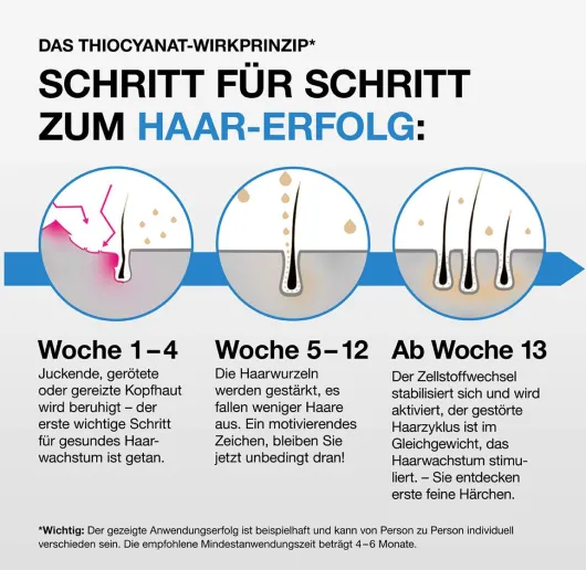 Thiocyn Haarserum Männer 3 x 150 ml + gratis 50 ml