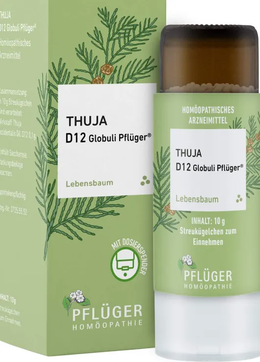 Thuja D12 Globuli Pflüger 10 g