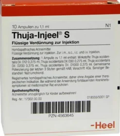 Thuja Injeel S Ampullen 10 Ampullen