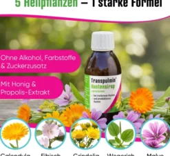 Transpulmin Hustenstiller Sirup 180 ml