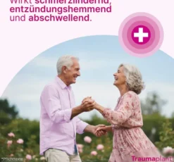 Traumaplant Schmerzcreme 100g