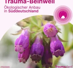 Traumaplant Schmerzcreme 100g