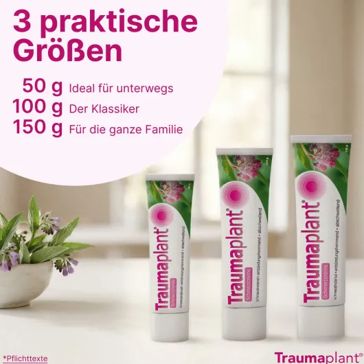 Traumaplant Schmerzcreme 100g