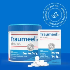 Traumeel Lt Ad Us.Vet.Tabletten 250 Stück