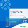 Traumeel LT ad us.vet. 100 x 5 ml Ampullen