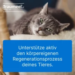 Traumeel LT ad us.vet. 100 x 5 ml Ampullen
