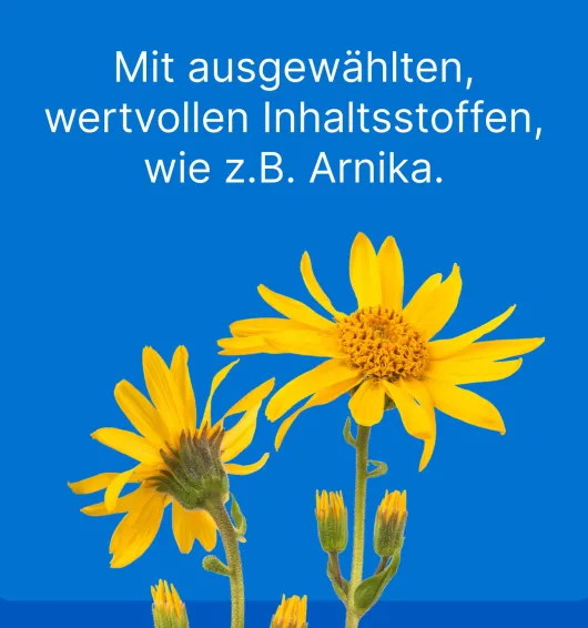 Traumeel LT ad us.vet. 100 x 5 ml Ampullen