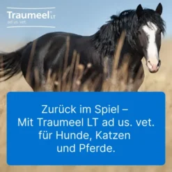 Traumeel LT ad us.vet. 100 x 5 ml Ampullen