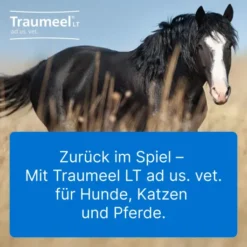 Traumeel Lt vet. 5 X 5 ml Ampullen