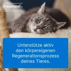 Traumeel Lt vet. 5 X 5 ml Ampullen