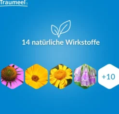 Traumeel S Gel 50g