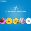 Traumeel S 50 Tabletten