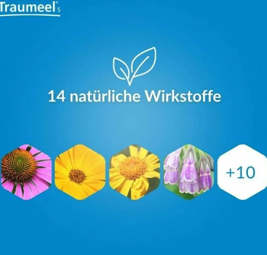 Traumeel S 50 Tabletten