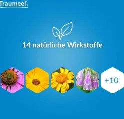 Traumeel S 250 Tabletten + Traumeel S Creme 100 g