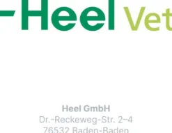 Traumeel T vet. 500 Tabletten
