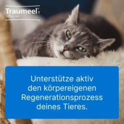 Traumeel T vet. 500 Tabletten
