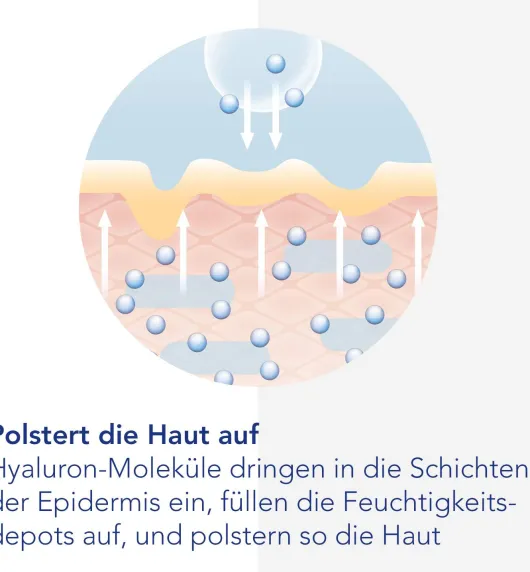 Viscontour Nachtcreme Mit Hyaluron 50 ml