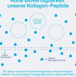 Vital Proteins Collagen Peptides Neutral Pulver 567 G