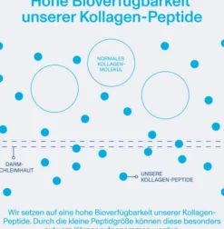 Vital Proteins Collagen Peptides Neutral Pulver 284 G