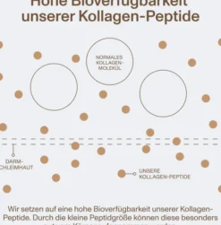 Vital Proteins Collagen Peptides Kakao 297 G