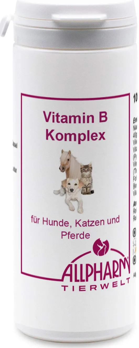 Vitamin B Komplex 100 Kapseln Für Hunde