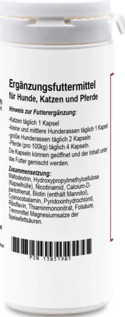 Vitamin B Komplex 100 Kapseln Für Hunde