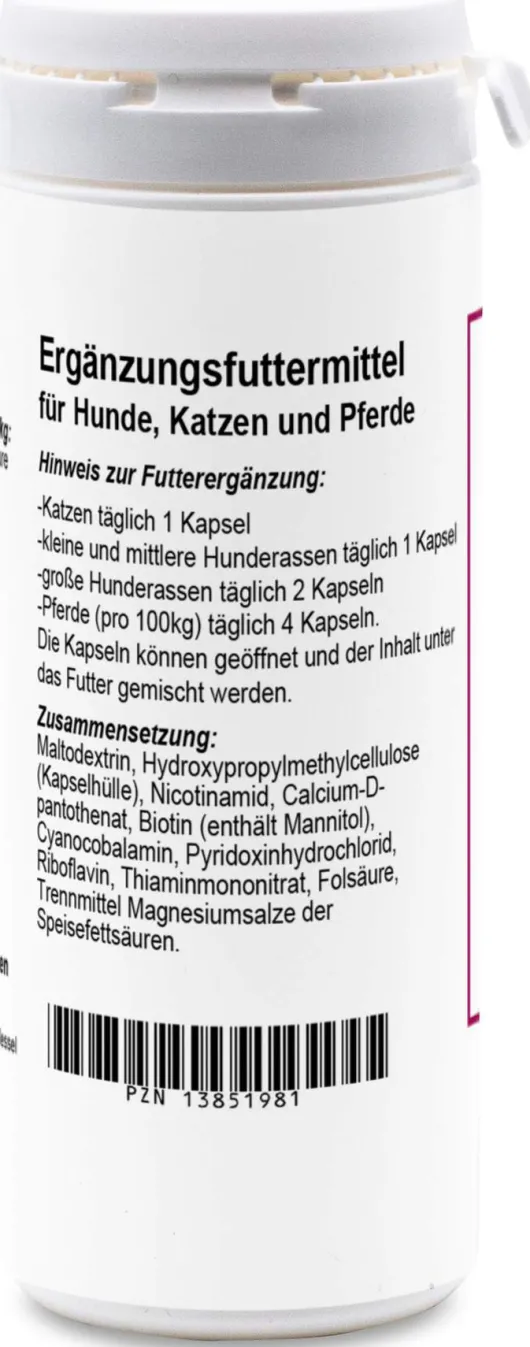 Vitamin B Komplex 100 Kapseln Für Hunde