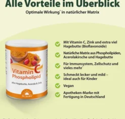 Vitamin C Phospholipid Dr. Jacob s 150 G Pulver