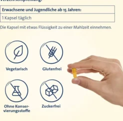 Vitamin D3 K2 Hevert + Calcium und Magnesium 1000IE 60 Kapseln