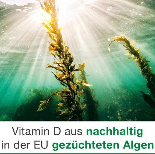 Vitamin D-Loges 7000 I.E. Pflanzlich 60 Weichkapseln