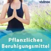 Vivinox Nervenruhe Beruhigungsdragees 40 Stück