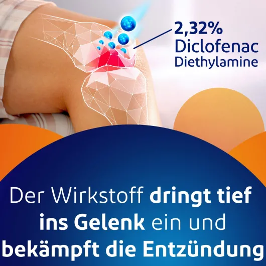Voltaren Schmerzgel forte 100 g Gel