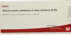 Wala Arteria Carotis Communis Et Sinus Caroticus Gl D5 10 X 1...