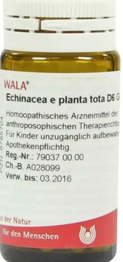 Wala Echinacea E Planta Tota D6 20 G Globuli