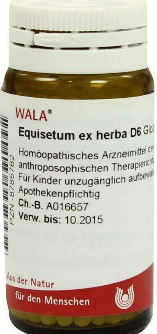 Wala Equisetum Ex Herba D6 Wala 20 G Globuli