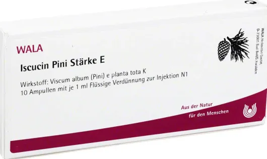 Wala Iscucin Pini Stärke E 10 X 1 ml Ampullen