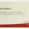 Wala Iscucin Quercus Stärke E 10 X 1 ml Ampullen