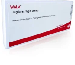 Wala Juglans Regia Comp. 10 X 1 ml Ampullen