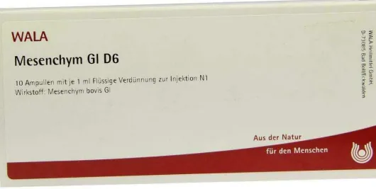 Wala Mesenchym Gl D6 10 X 1 ml Ampullen