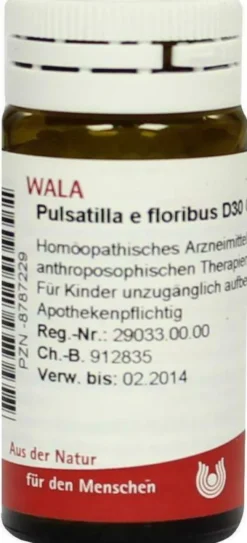 Wala Pulsatilla E Floribus D30 20 G Globuli