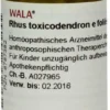 Wala Rhus Toxicondendron E Foliis D12 20 G Globuli