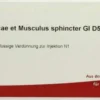 Wala Trigonum Vesicae Et Musculus Sphincter Gl D5 10 X 1 Ml...
