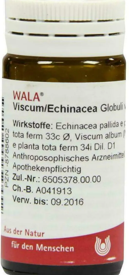 Wala Viscum Echinacea 20 G Globuli