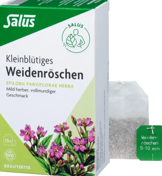 Weidenröschen Tee Bio Salus 15 Filterbeutel